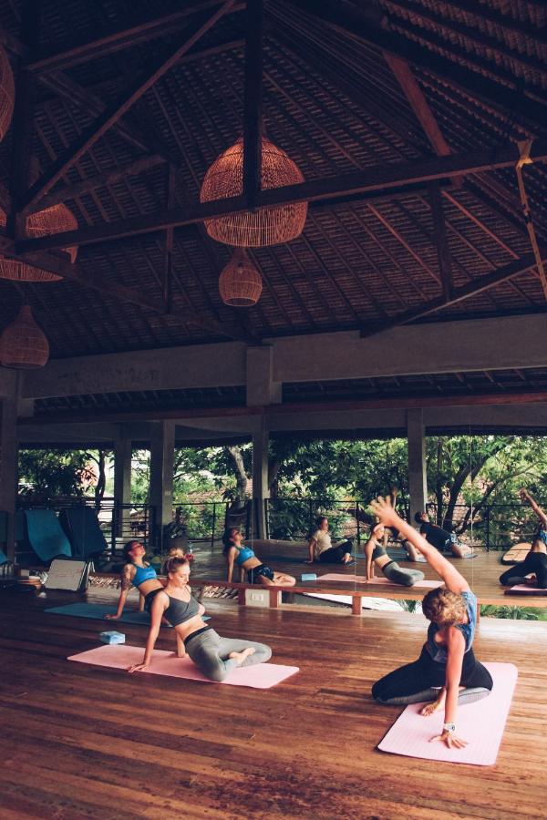 Endless Summer Surf Camp Kuta Kuta  Bagian luar foto